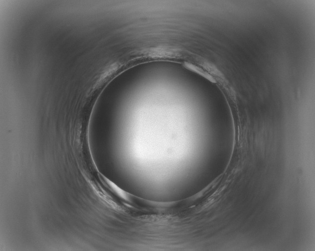 X0000081280201200701181752