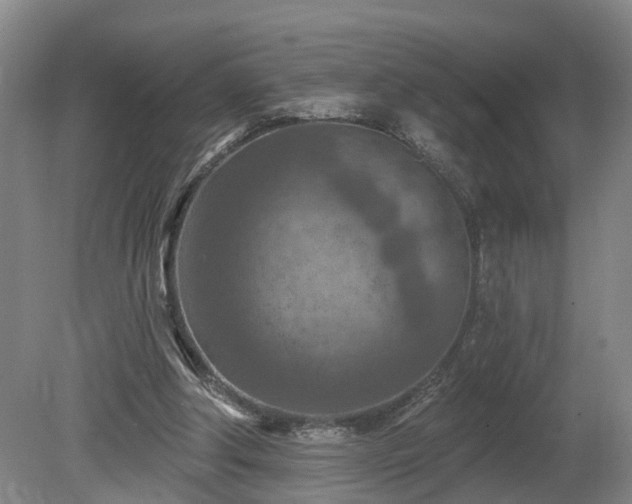 X0000081280202200701181752