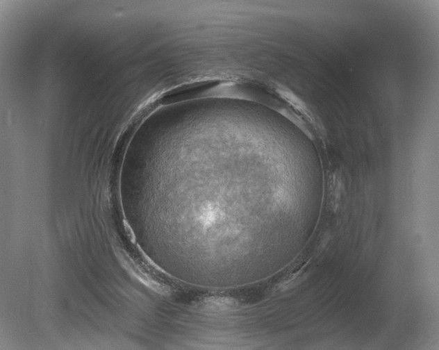 X0000081280203200701181752