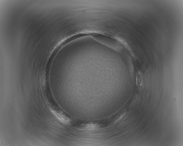 X0000081280204200701181752