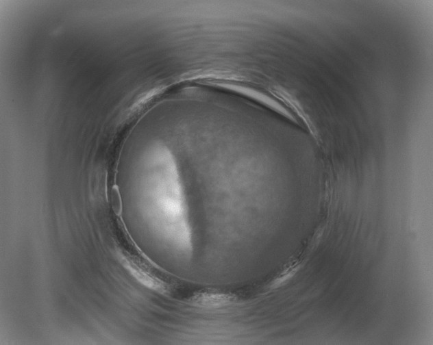 X0000081280205200701181752