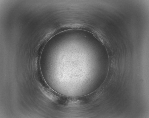 X0000081280206200701181751