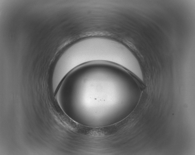 X0000081280207200701181751