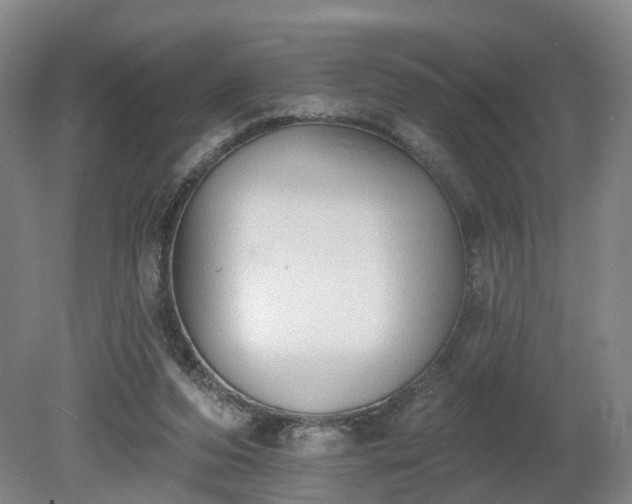 X0000081280208200701181751