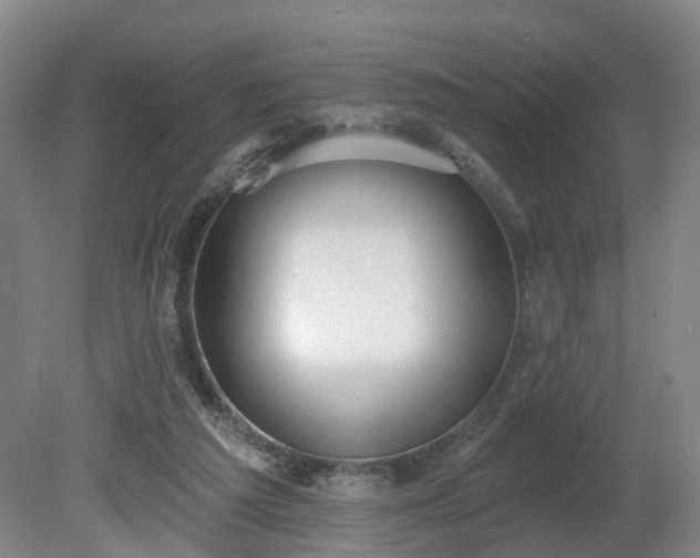 X0000081280209200701181751