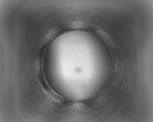 X0000081280210200701181751