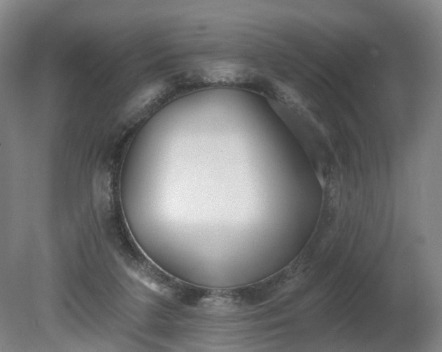 X0000081280211200701181751