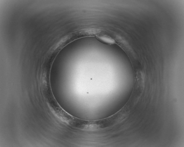 X0000081280212200701181751