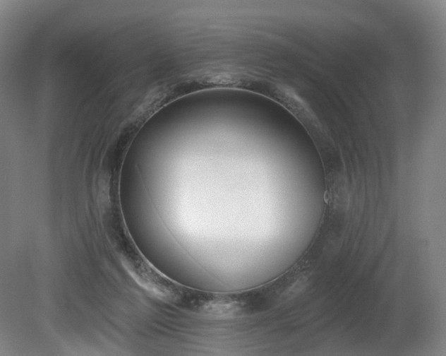 X0000081280213200701181751