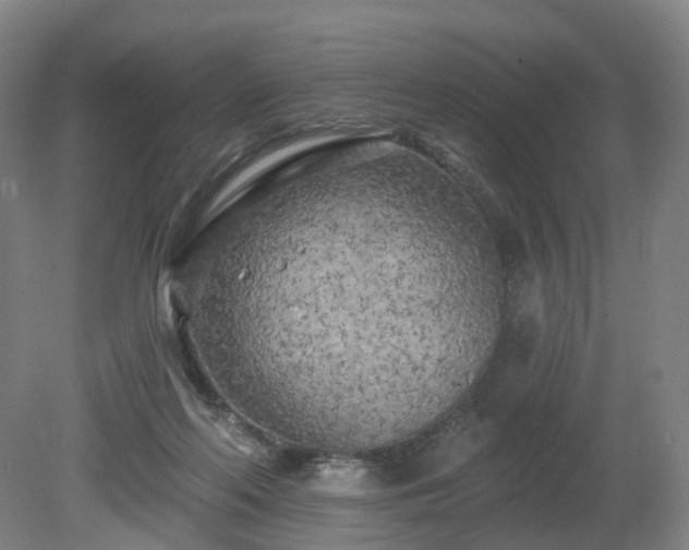 X0000081280214200701181751