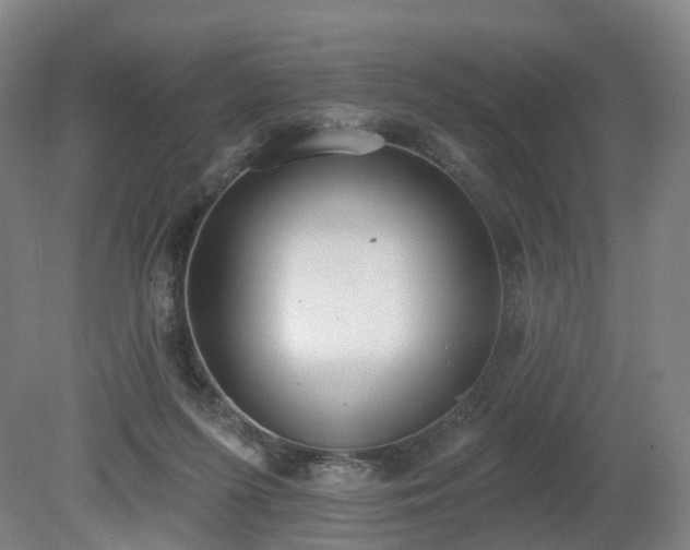 X0000081280215200701181751