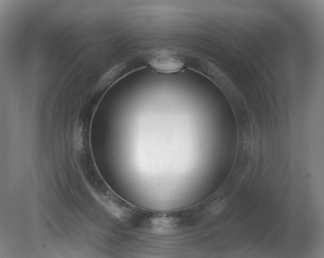 X0000081280216200701181751