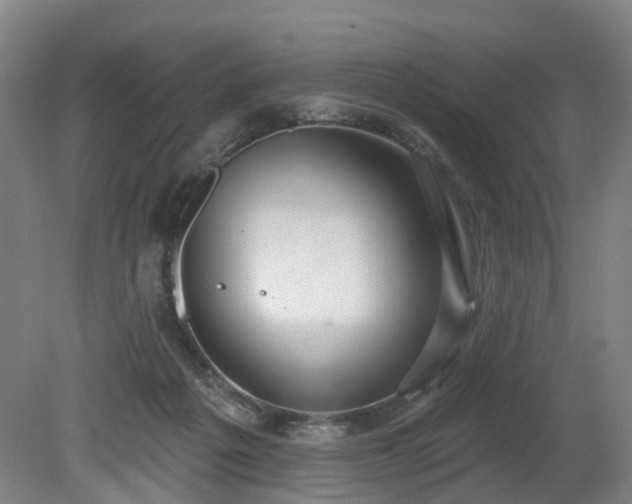 X0000081280217200701181751