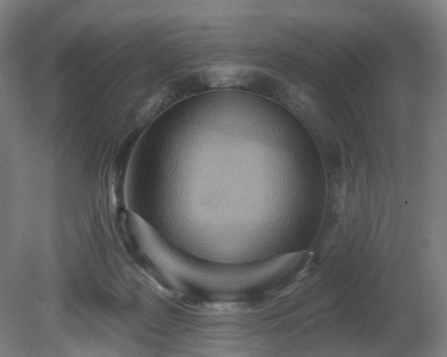 X0000081280219200701181751