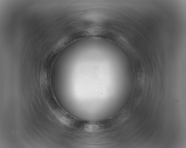 X0000081280220200701181751