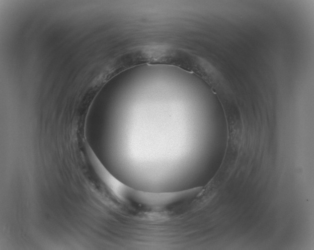 X0000081280221200701181751