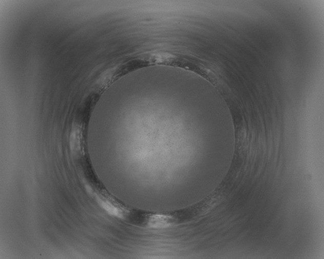 X0000081280222200701181751