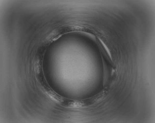 X0000081280223200701181751