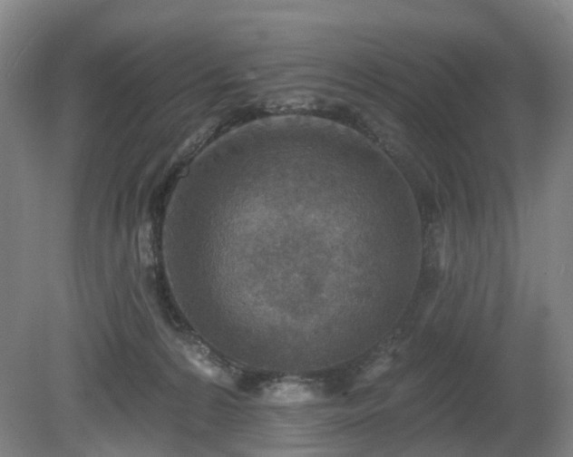 X0000081280224200701181751