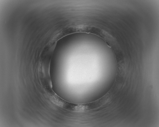 X0000081280225200701181751