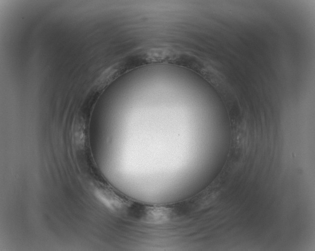 X0000081280226200701181751