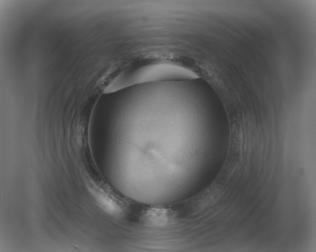 X0000081280227200701181751