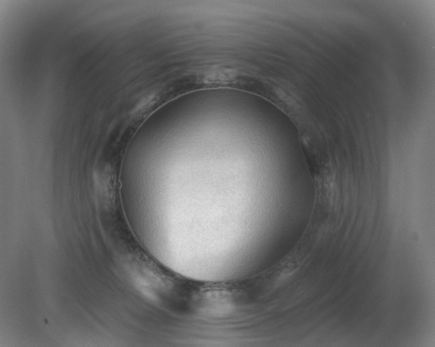 X0000081280228200701181751