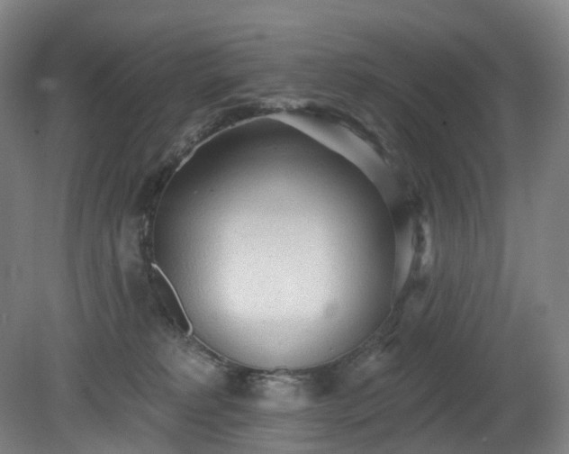 X0000081280229200701181751