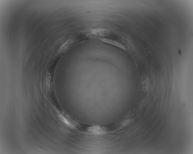 X0000081280231200701181751