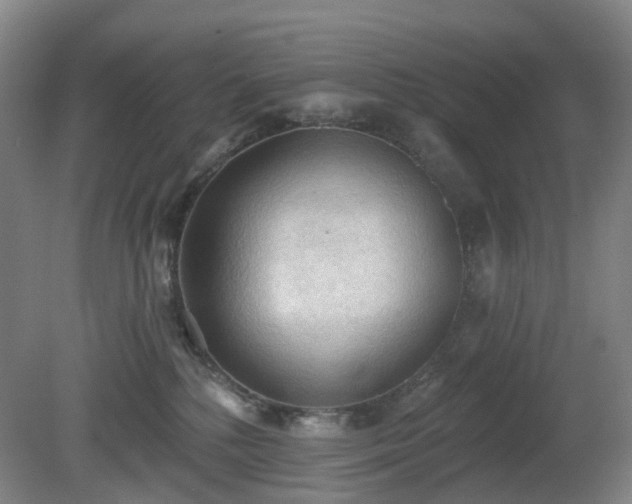 X0000081280232200701181751