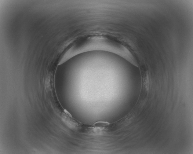 X0000081280233200701181751