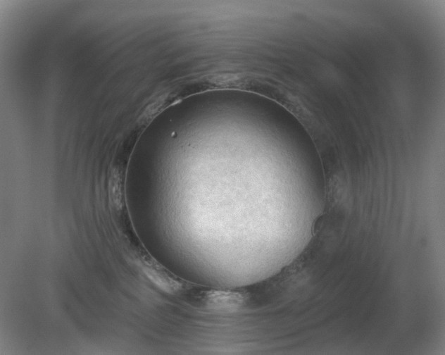 X0000081280234200701181751