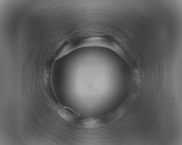 X0000081280235200701181751