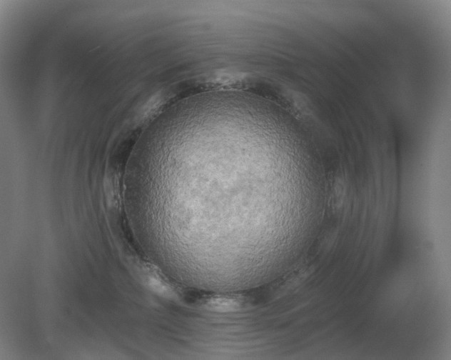 X0000081280236200701181751