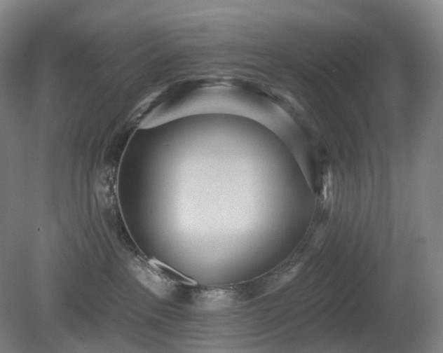 X0000081280237200701181751