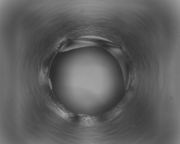 X0000081280239200701181751