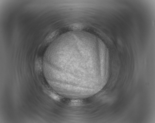 X0000081280240200701181751