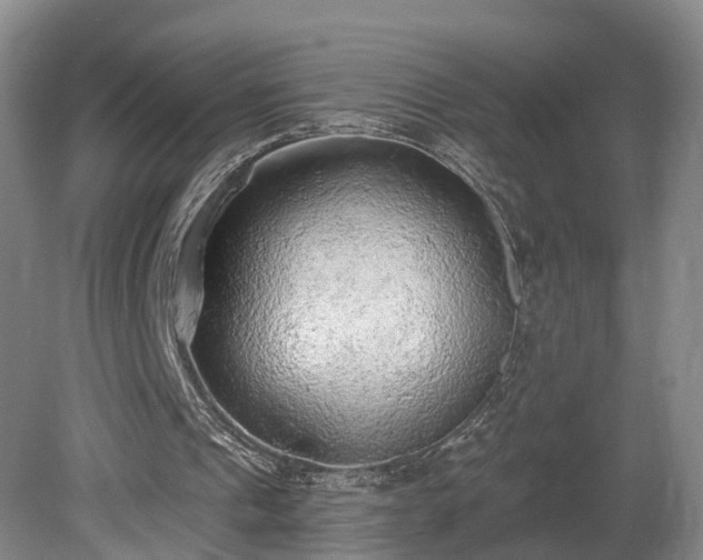 X0000081280241200701181750