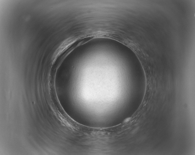 X0000081280242200701181750