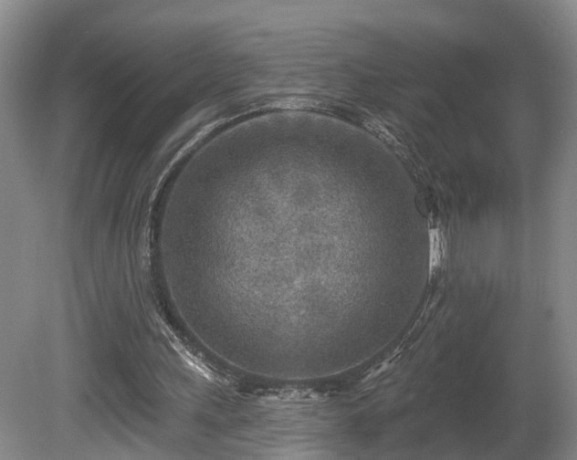 X0000081280243200701181750