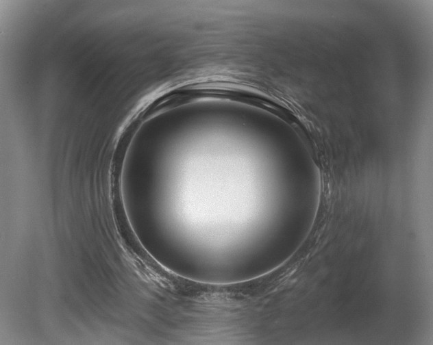 X0000081280244200701181750