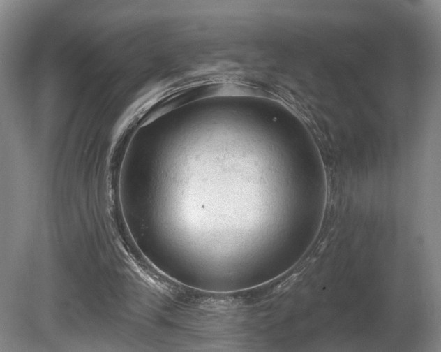 X0000081280245200701181750