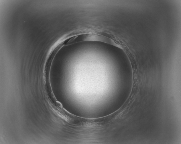 X0000081280246200701181750