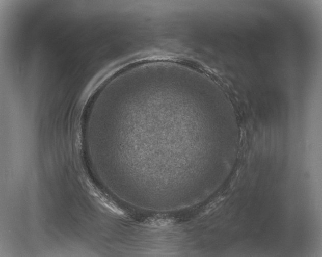 X0000081280247200701181750