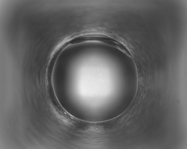 X0000081280248200701181750