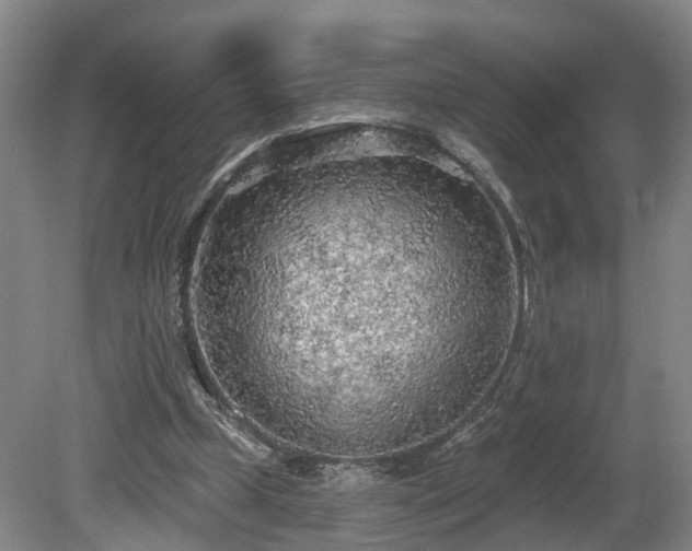 X0000081280249200701181750