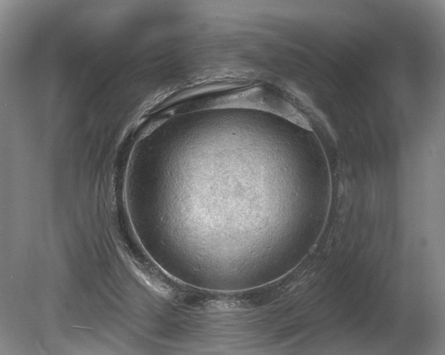 X0000081280250200701181750