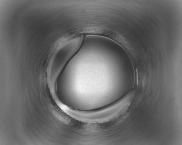 X0000081280252200701181750