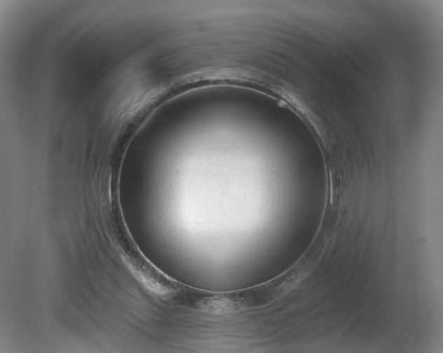 X0000081280253200701181750