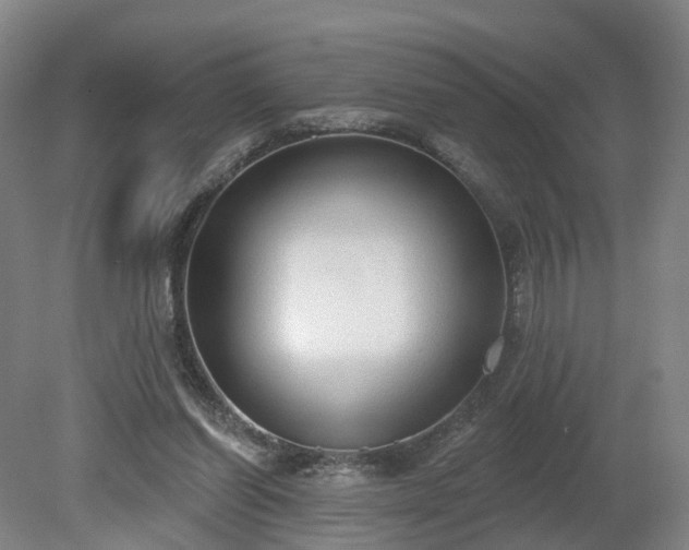 X0000081280254200701181750